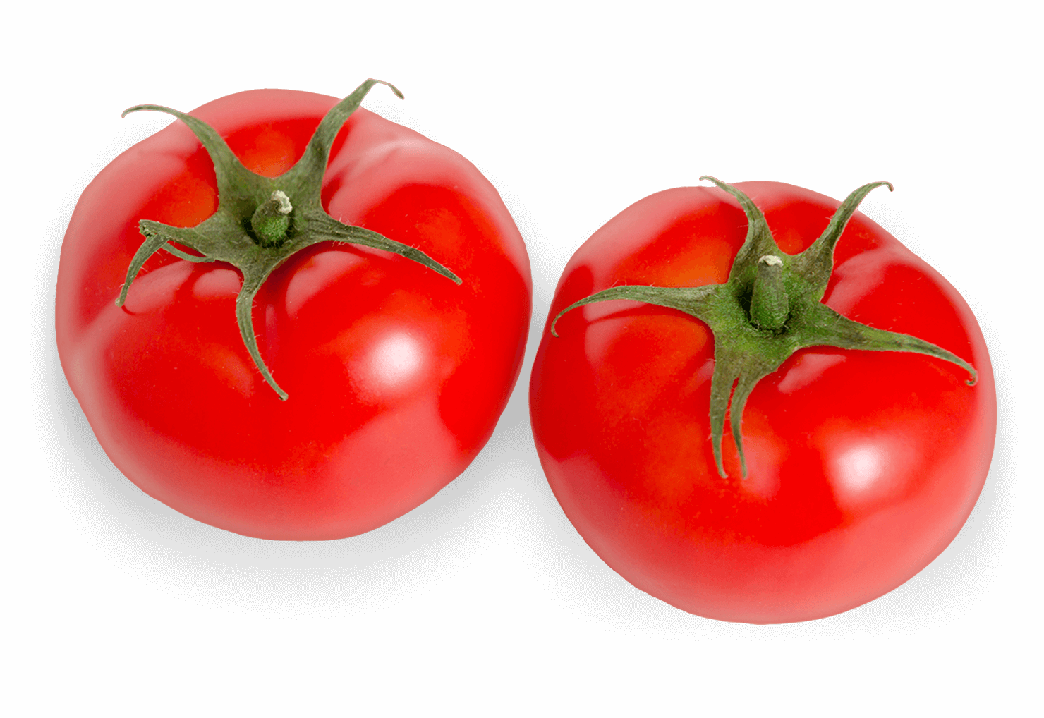 Beefsteak Tomatoes Lipman Family Farms