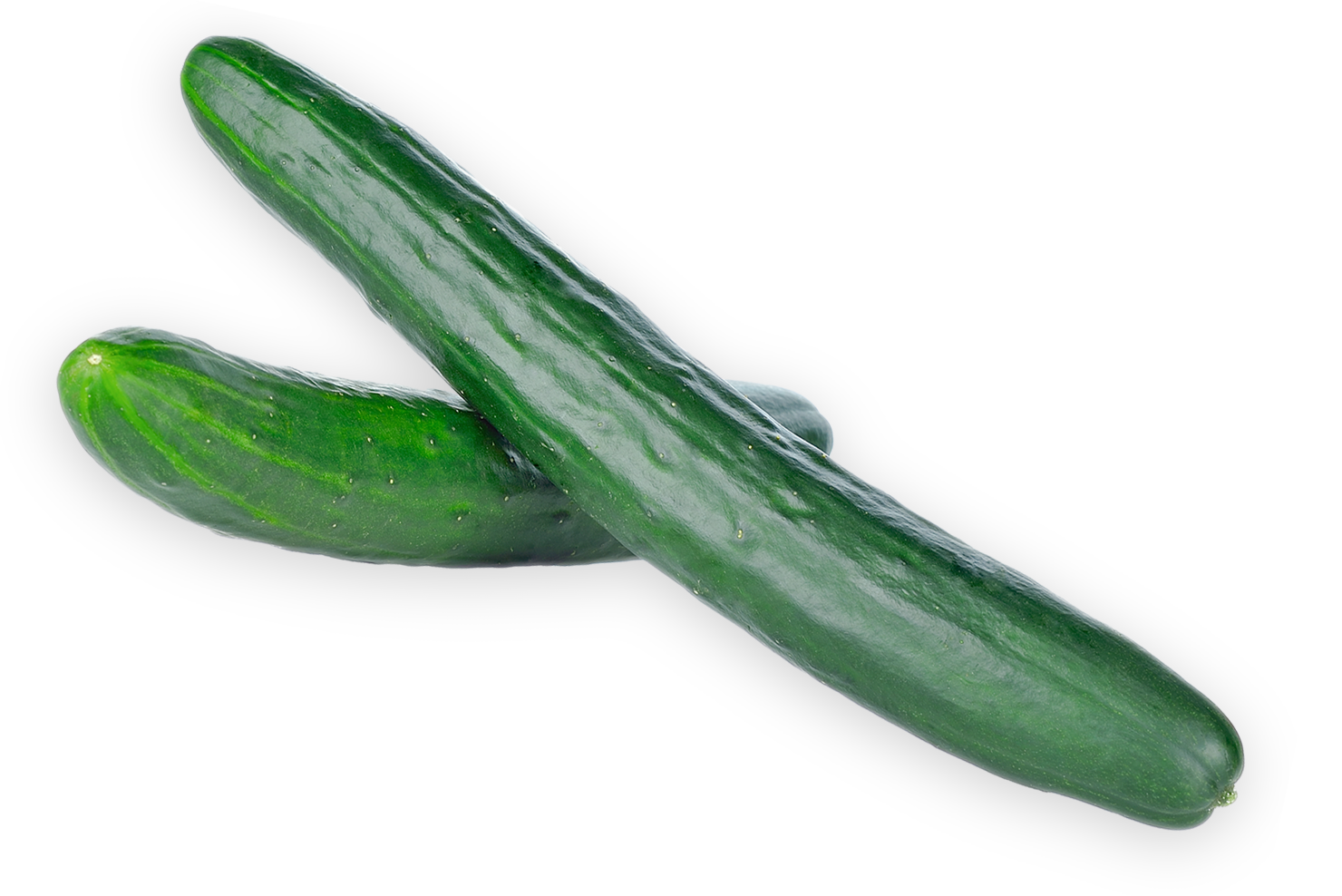 Long English Cucumbers