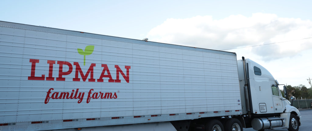 English Cucumbers  Lipman Family Farms