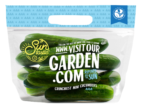 Order Mini Seedless Cucumber Pack