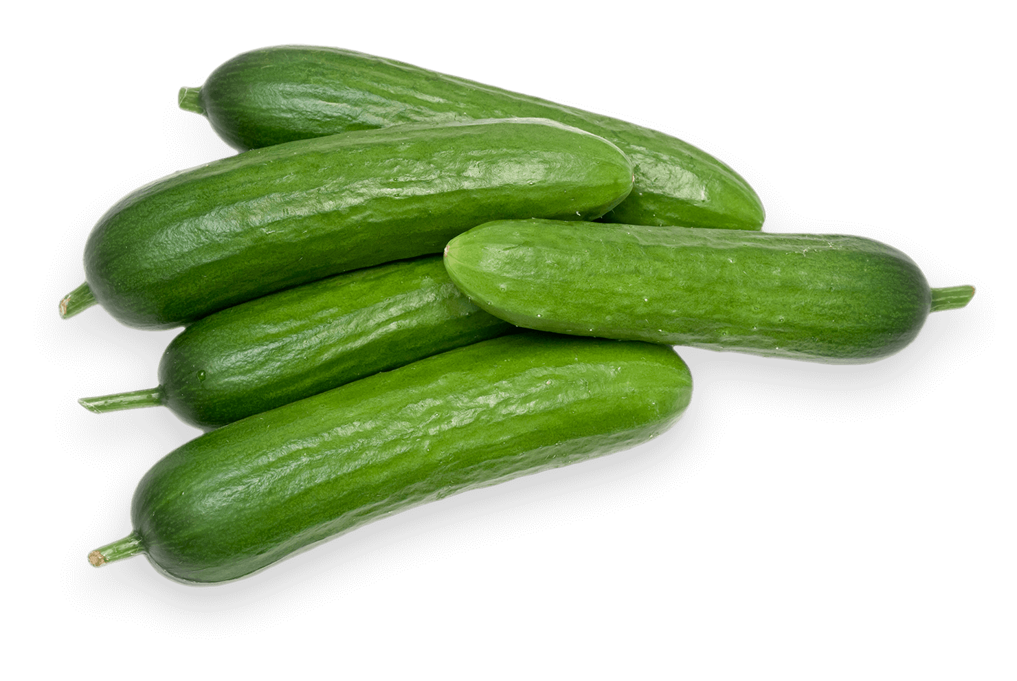 Fresh Mini Cucumbers, 16 oz