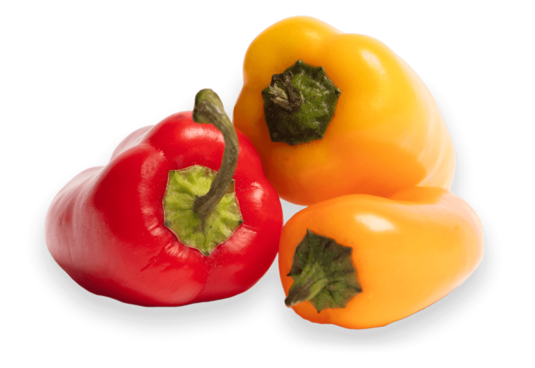 Farm Facts: Bell Peppers - Florida Farm & Family